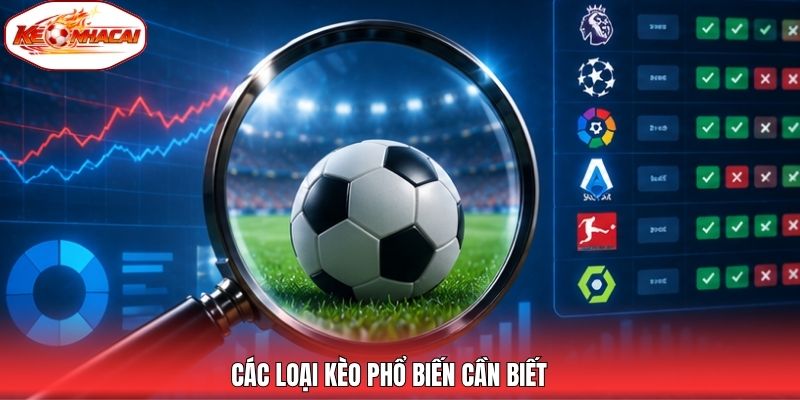 Các loại kèo phổ biến cần biết