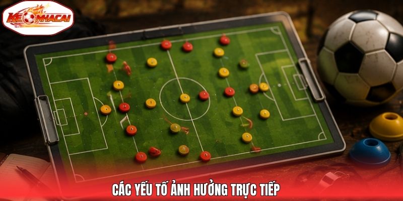 Các yếu tố ảnh hưởng trực tiếp