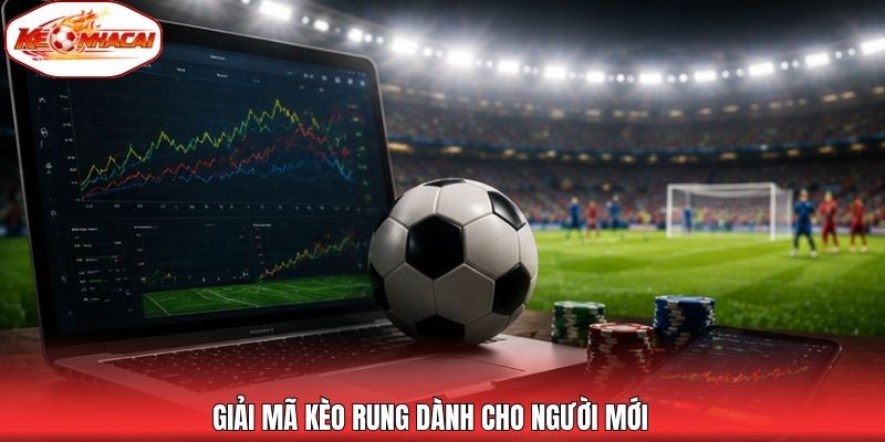Giải mã kèo rung dành cho người mới