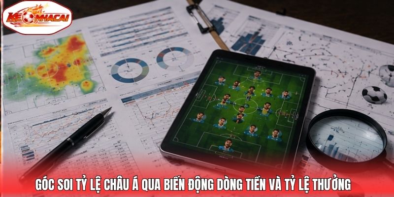 Góc soi tỷ lệ châu Á qua biến động dòng tiền và tỷ lệ thưởng