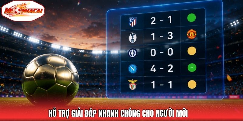 Hỗ trợ giải đáp nhanh chóng cho người mới