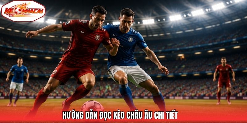 Hướng dẫn đọc kèo châu Âu chi tiết