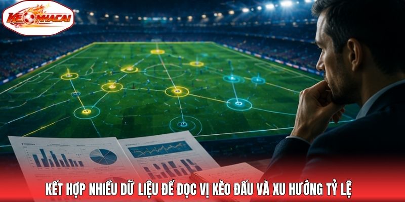 Kết hợp nhiều dữ liệu để đọc vị kèo đấu và xu hướng tỷ lệ