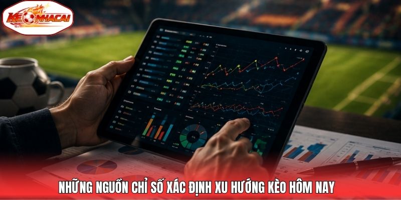 Những nguồn chỉ số xác định xu hướng kèo hôm nay