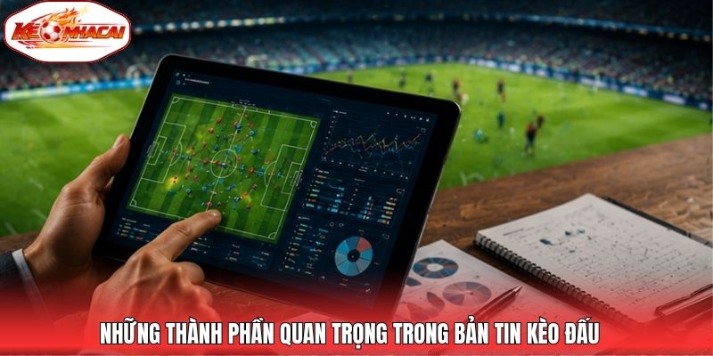 Những thành phần quan trọng trong bản tin kèo đấu