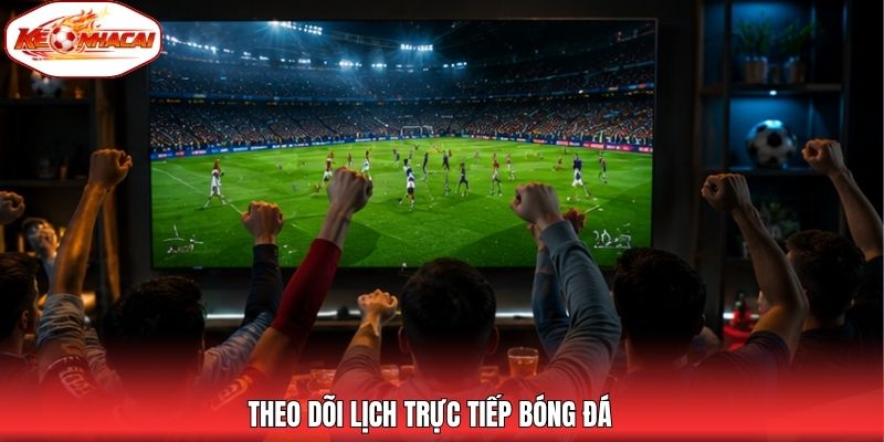 Theo dõi lịch trực tiếp bóng đá