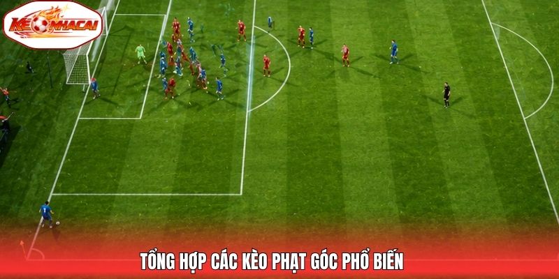 Tổng hợp các kèo phạt góc phổ biến