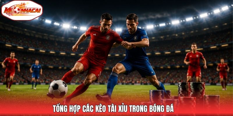 Tổng hợp các kèo tài xỉu trong bóng đá